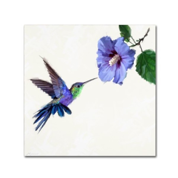 Trademark Fine Art The Macneil Studio 'Humming Bird' Canvas Art, 14x14 ALI9043-C1414GG